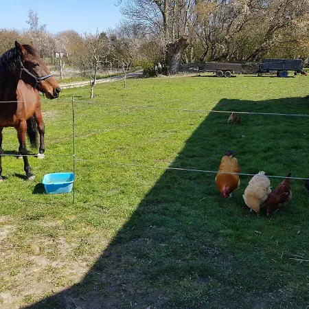 Gospodarstwo agroturystyczne Kirsebaergaarden *