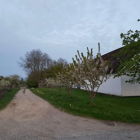 Kirsebaergaarden Gospodarstwo agroturystyczne Præstø