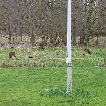 Kirsebaergaarden * Præstø