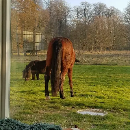 Kirsebaergaarden